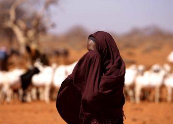 Τα απαγορευμένα δηλητήρια της Ευρώπης που καταλήγουν στα στομάχια των Κενυατών