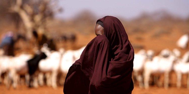 Τα απαγορευμένα δηλητήρια της Ευρώπης που καταλήγουν στα στομάχια των Κενυατών