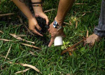 Μία Δράση Ένα Δέντρο – Η αλλαγή ξεκινάει με το δικό σου δέντρο – Η αλλαγή ξεκινάει με το δικό σου δέντρο