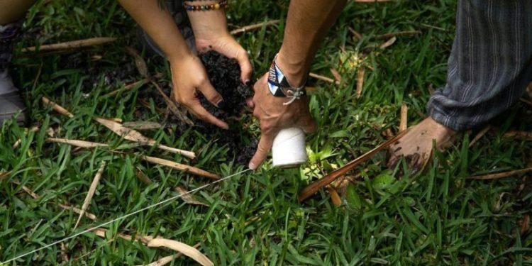 Μία Δράση Ένα Δέντρο – Η αλλαγή ξεκινάει με το δικό σου δέντρο – Η αλλαγή ξεκινάει με το δικό σου δέντρο