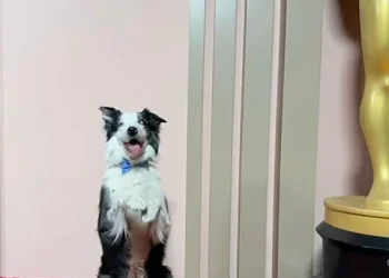 Ο Μέσι: Το τετράποδο  αστέρι στα Όσκαρ 2024