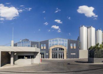 Ολυμπιακή Ζυθοποιία: Αύξηση πωλήσεων με έμφαση σε premium σήματα και νέες επενδύσεις