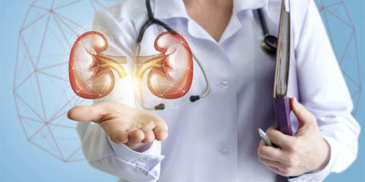 Οχτακόσια εκατομμύρια παγκοσμίως και ένα εκατομμύριο στην Ελλάδα ο αριθμός των ασθενών με Χρόνια Νεφρική Νόσο