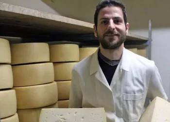 Τα δύο αδέρφια στην Άργενο που παράγουν την ξακουστή γραβιέρα Μυτιλήνης