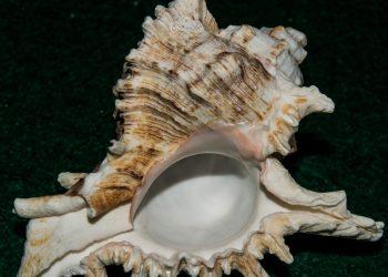 Φωτογραφία: freepik.com/@EyeEm