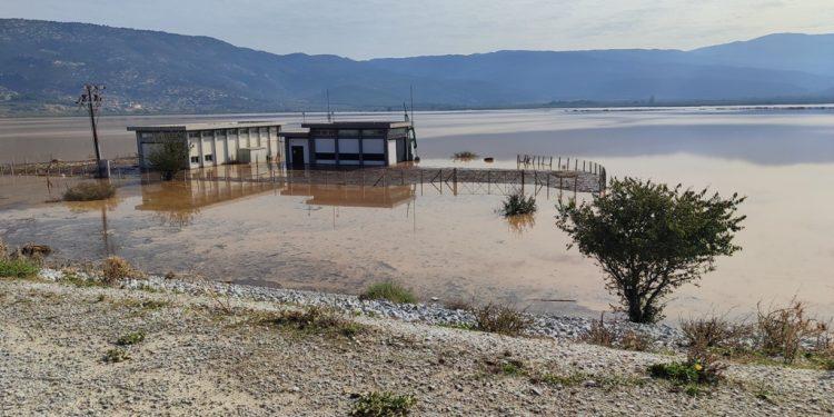 Υγειονομική βόμβα τα βαλτωμένα νερά της Κάρλας