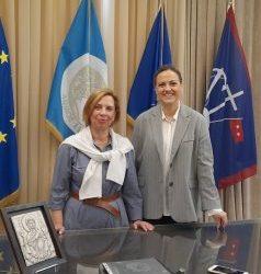 Διαδημοτική Συνεργασία Σερρών- Βισαλτίας