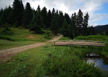 Τεράστια προστιθέμενη αξία προσφέρει το Πανεπιστημιακό Δάσος Περτουλίου Τρικάλων