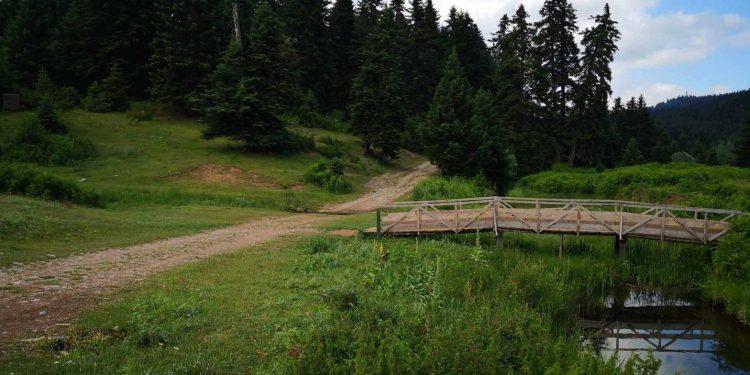 Τεράστια προστιθέμενη αξία προσφέρει το Πανεπιστημιακό Δάσος Περτουλίου Τρικάλων