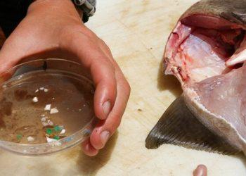 Νησιά από πλαστικά