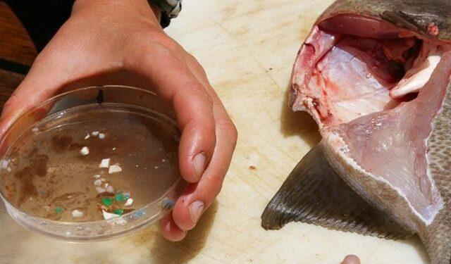 Νησιά από πλαστικά