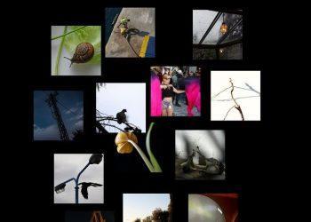 Ομαδική Έκθεση Φωτογραφίας από το Εργαστήρι Φωτογραφίας του Δήμου Ηλιούπολης «Φωτο-γραφίες»