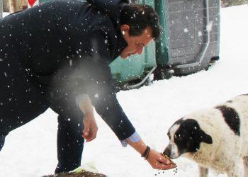 Δήμος Φυλής: Παρουσίαση του επίσημου απολογισμού των φιλοζωικών δράσεων του 2023 5/4/2024