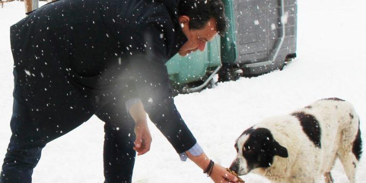 Δήμος Φυλής: Παρουσίαση του επίσημου απολογισμού των φιλοζωικών δράσεων του 2023 5/4/2024