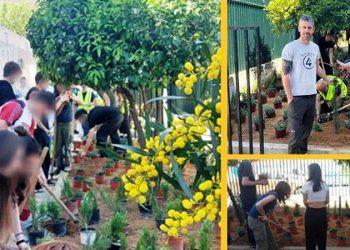 Πρασινίζουν οι σχολικές αυλές στα Βριλήσσια