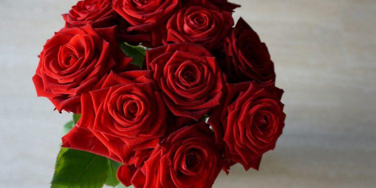 Ένα μπουκέτο κόκκινα τριαντάφυλλα. (Φωτογραφία από Sandra Wei, μέσω Unsplash)