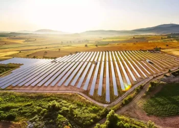 «Φωτοβολταϊκά στο Χωράφι»: Μπαράζ αιτήσεων για το πρόγραμμα από τους αγρότες