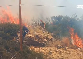 Μάχη με τις φλόγες στο Λασίθι: Με εγκαύματα ένας 74χρονος, ζημιές σε σπίτια