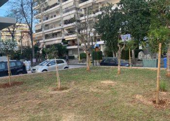 Συνεχείς δενδροφυτεύσεις στον Πειραιά