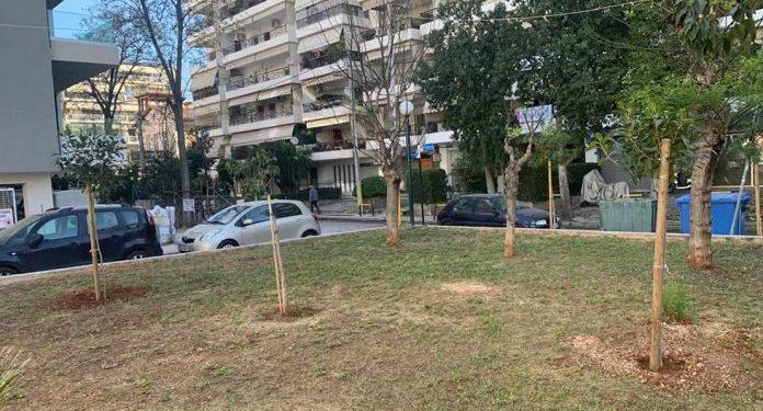 Συνεχείς δενδροφυτεύσεις στον Πειραιά