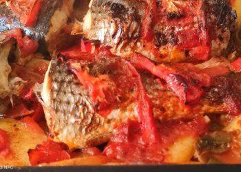 Γαλέος στο φούρνο με κόκκινη σάλτσα