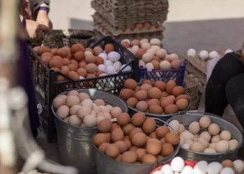 Ξεκίνησαν οι έλεγχοι σε ελαιόλαδο και μέλι – Ακολουθούν σε κρέας και αυγά