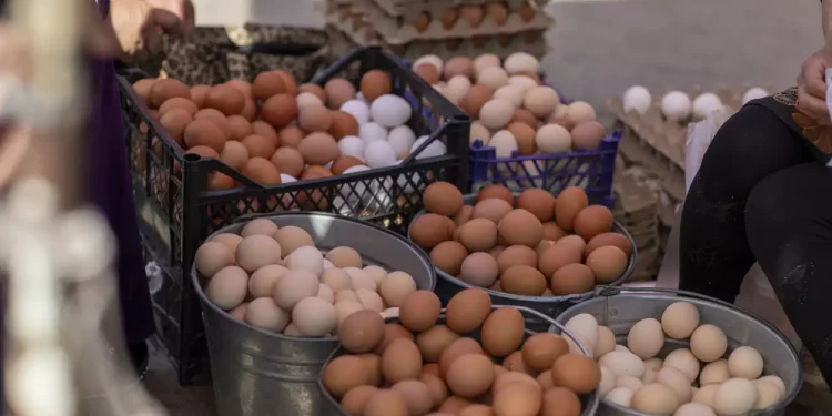 Ξεκίνησαν οι έλεγχοι σε ελαιόλαδο και μέλι – Ακολουθούν σε κρέας και αυγά