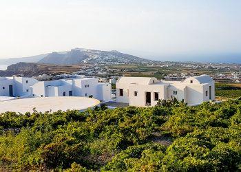 Αφιέρωμα: O χάρτης του ελληνικού κρασιού 2024 – Σπουδαία λευκά και ροζέ από το Αιγαίο