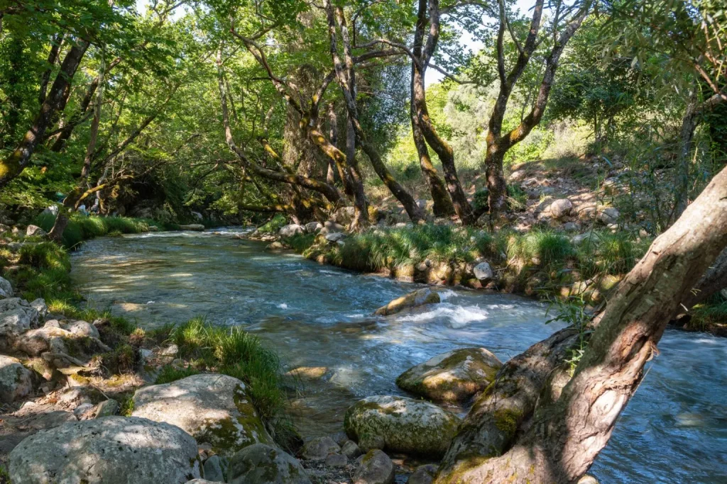 Ο Λούσιος έχει πολλά πρόσωπα. Photo: Shutterstock