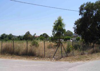 Δήμος Φυλής: Υποχρεωτικός ο καθαρισμός των οικοπέδων