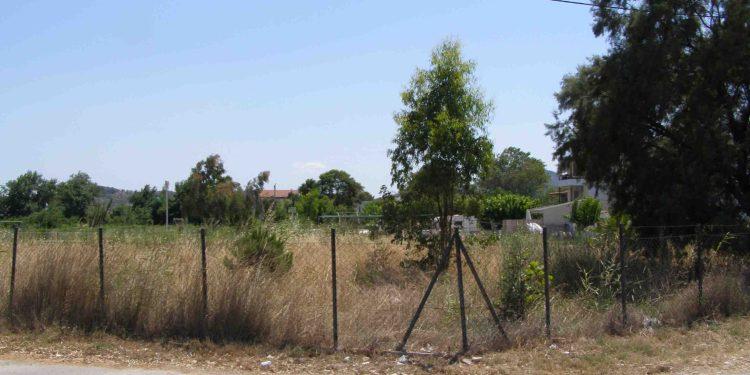 Δήμος Φυλής: Υποχρεωτικός ο καθαρισμός των οικοπέδων