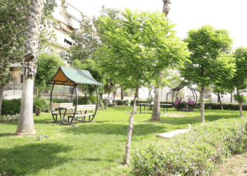 2000 δένδρα θα φυτευτούν στο Δήμο Πειραιά