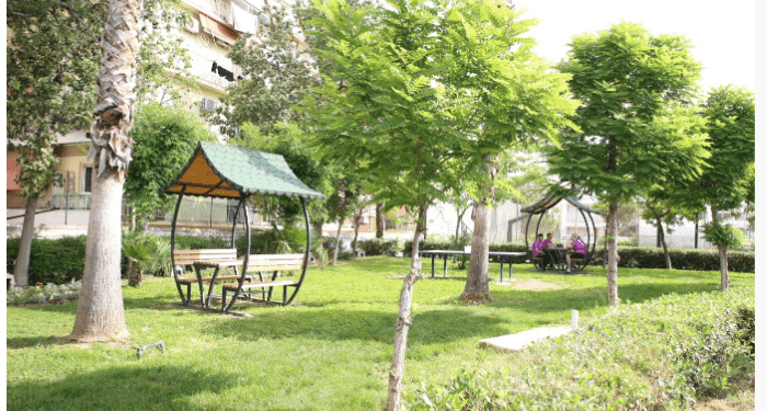 2000 δένδρα θα φυτευτούν στο Δήμο Πειραιά