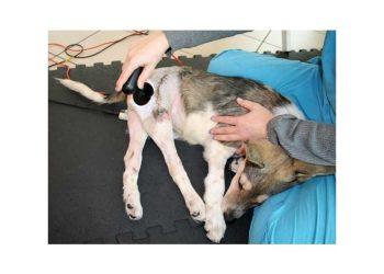 θεραπεία Tecar