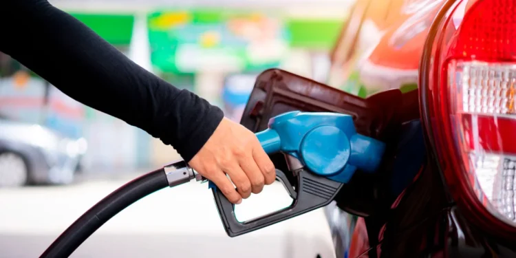 Πασχαλινή έξοδος με αμόλυβδη πάνω από 2 ευρώ – Γιατί είναι στα ύψη η τιμή της