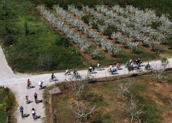 Φωτογραφίες: ΠΟΤΑΠ-«ΑΠΕ-ΜΠΕ»