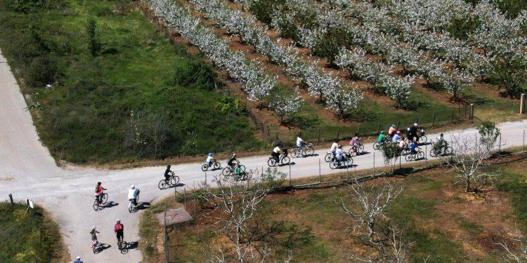 Φωτογραφίες: ΠΟΤΑΠ-«ΑΠΕ-ΜΠΕ»