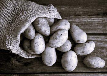 Οδοιπορικό της πατάτας: Τάισε τα γουρούνια, ενοχοποιήθηκε για τη λέπρα και κατέληξε το δημοφιλέστερο έδεσμα των λαών