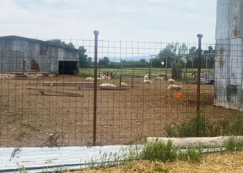 Κιλκίς: Ελεύθερος υπό όρους ο 54χρονος κτηνοτρόφος που πυροβόλησε και σκότωσε Γεωργιανό ληστή