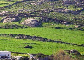 «Βόμβα» τα ακαθάριστα οικόπεδα: Τι να κάνετε για να μην πληρώσετε πρόστιμα έως και 54.000 ευρώ