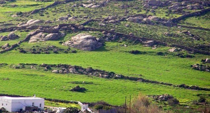 «Βόμβα» τα ακαθάριστα οικόπεδα: Τι να κάνετε για να μην πληρώσετε πρόστιμα έως και 54.000 ευρώ