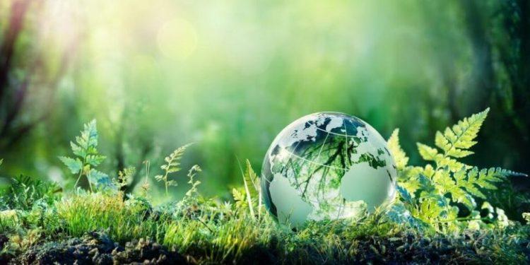 Επιχειρήσεις: Τι πιστεύουν οι εργαζόμενοι για τον «πράσινο» μετασχηματισμό