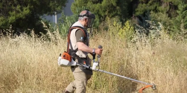 Παράταση έως τις 30 Ιουνίου για τις δηλώσεις καθαρισμού οικοπέδων