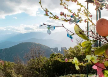 Ξεκινάει από σήμερα η μεγάλη έξοδος για το Πάσχα – Πώς θα φύγουν, θα ψήσουν το αρνί και θα επιστρέψουν