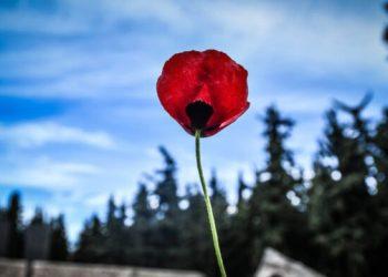 Εργατική Πρωτομαγιά: Πρώτος εορτασμός στην Ελλάδα το 1893