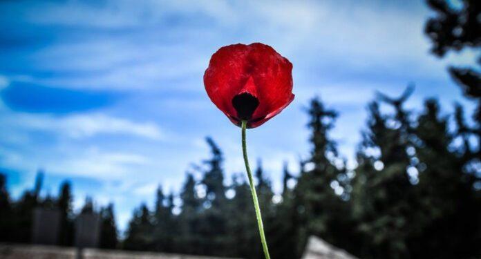 Εργατική Πρωτομαγιά: Πρώτος εορτασμός στην Ελλάδα το 1893