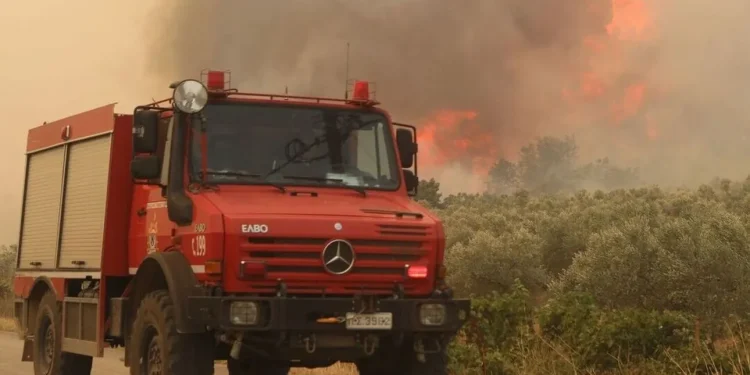 Πολύ υψηλός κίνδυνος πυρκαγιάς σήμερα Κυριακή σε δέκα περιφέρειες