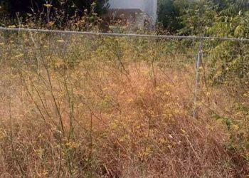 Τέλος χρόνου για την πυροπροστασία ακινήτων: Πότε λήγει η διορία για τα ακαθάριστα οικόπεδα