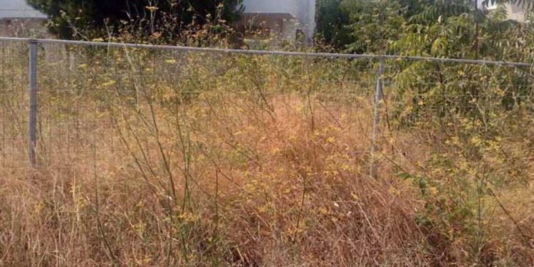 Τέλος χρόνου για την πυροπροστασία ακινήτων: Πότε λήγει η διορία για τα ακαθάριστα οικόπεδα