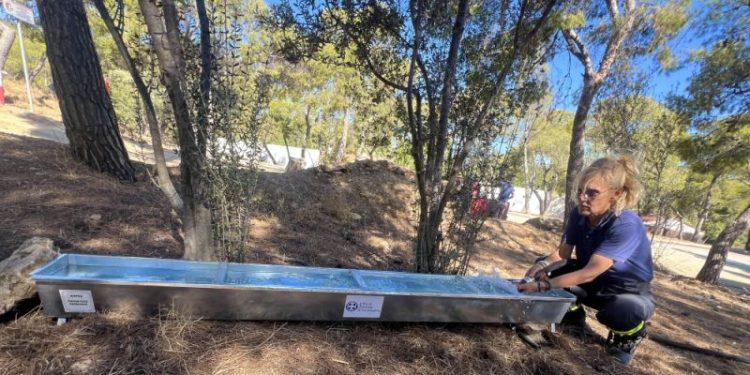 Ποτίστρες για τις αλεπούδες από τον Δήμο Βάρης – Βούλας – Βουλιαγμένης